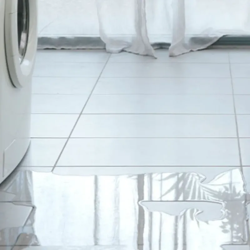 Appliance Leak Cleanup in Bristol, ME