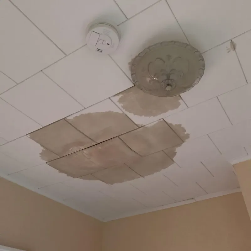 Ceiling Water Damage Repair in Bristol, ME