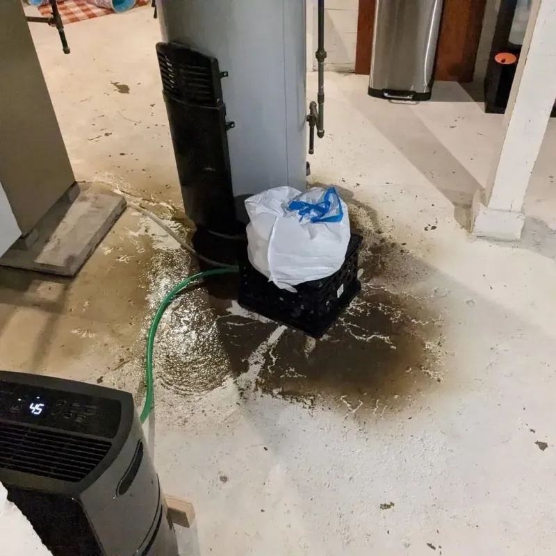 Sewage Backup Cleanup Service in Bristol, ME